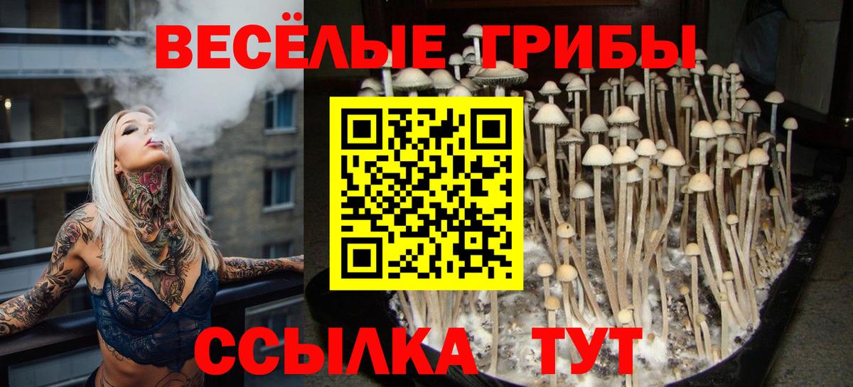 Псилоцибиновые грибы Cubensis  Вход с VPN  Унеча 